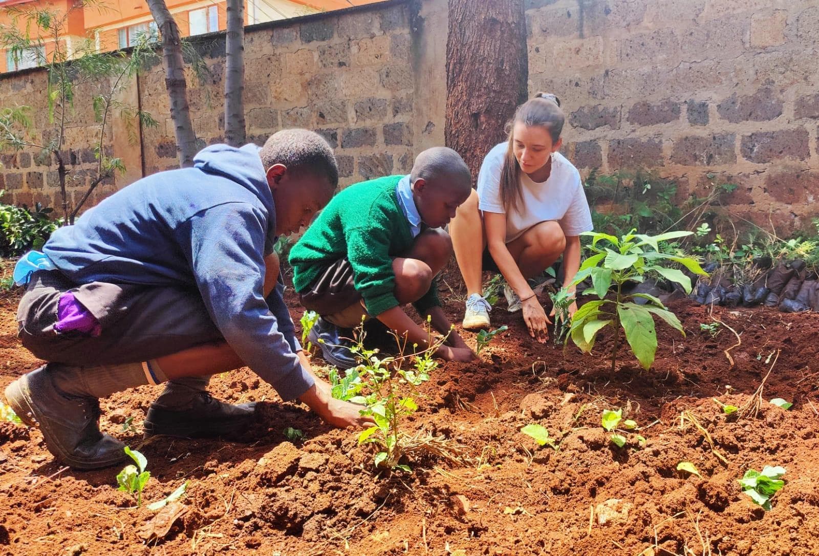 Volunteers making impact