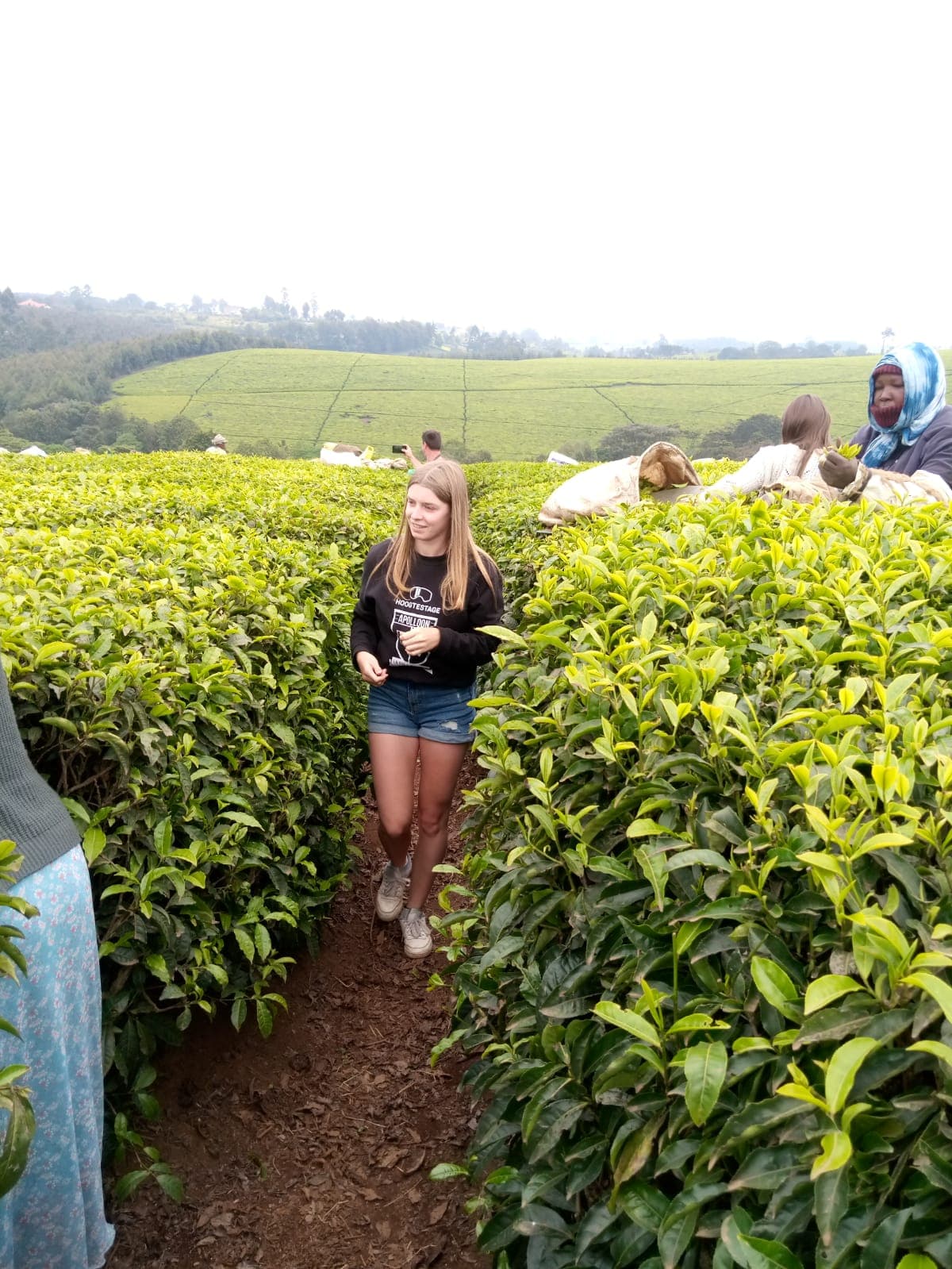 Coffee Farm Tour