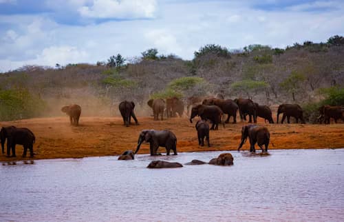 Tsavo East National Park