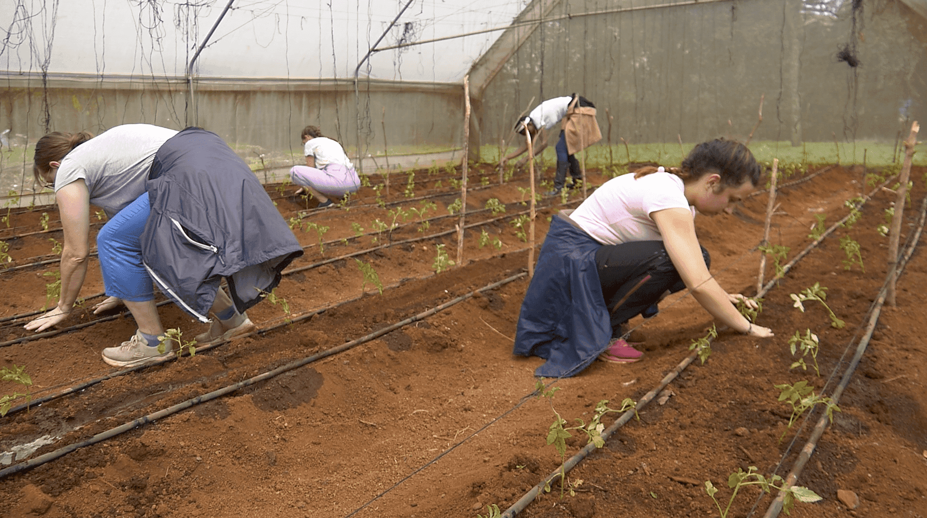 Climate-Smart Agriculture and Livestock Technician (Samburu) 3