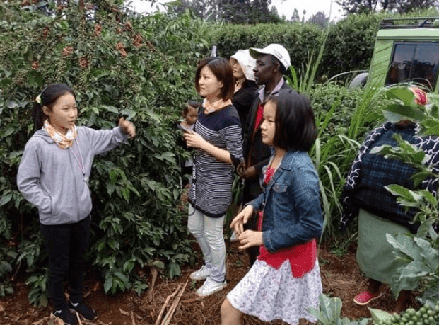 Cook & Nutrition Assistant Volunteer | Promote Healthy Living in Nairobi Communities” 5
