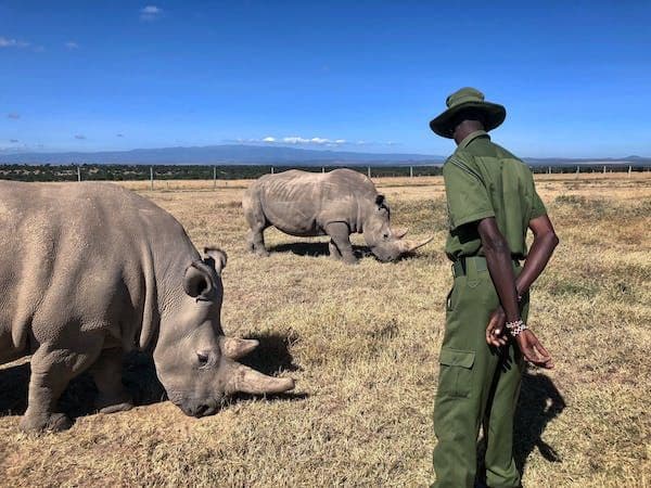 Eco-Tourism Assistant in Mombasa | Empower Communities & Protect the Environment 3
