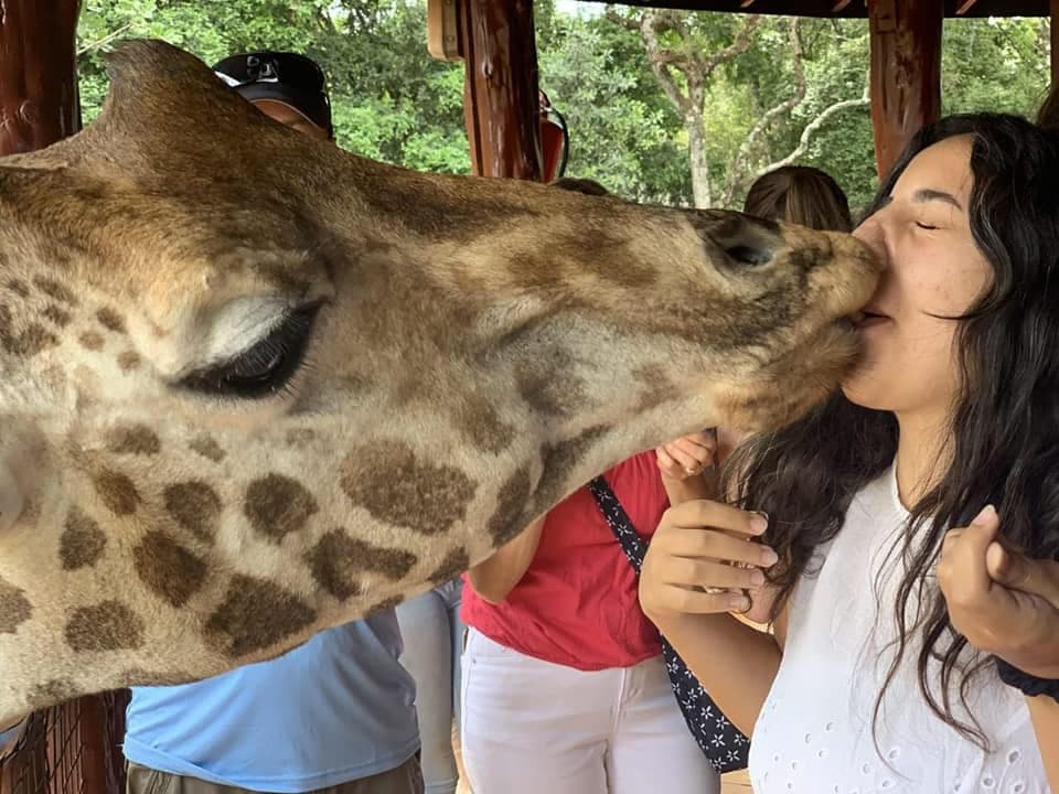 Giraffe Package