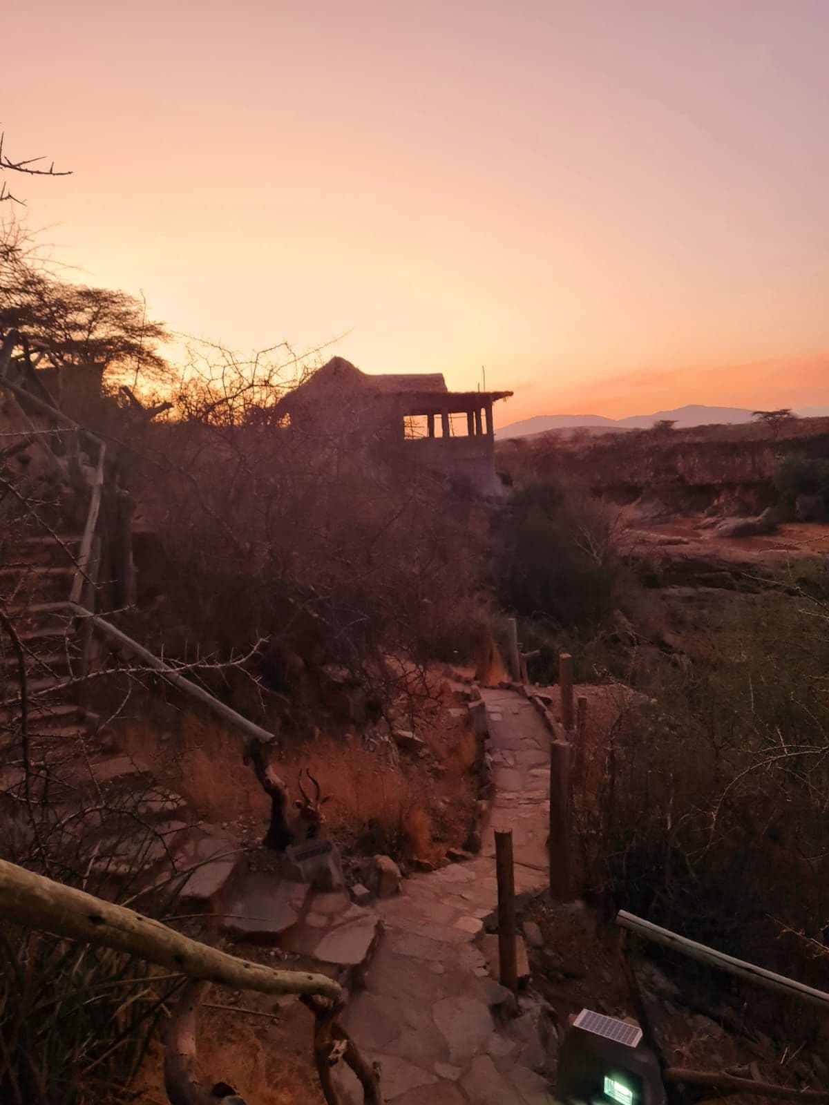 Nairobi Safari Walk